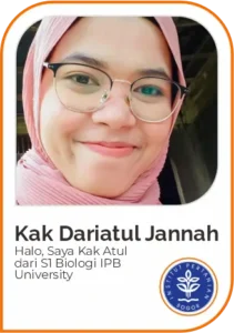 Image Master Teacher 16